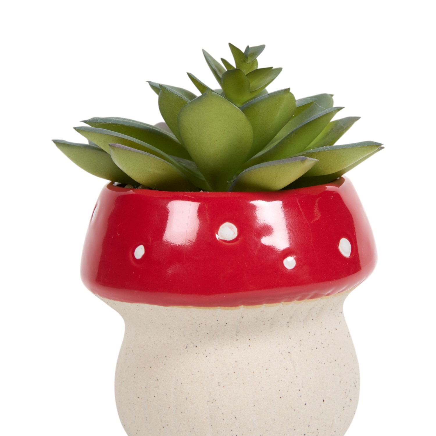 Succulent in Mushroom Pot Red Image 3