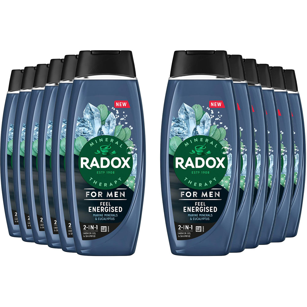 Radox 2-in-1 Mineral Therapy Feel Energised Men Shower Gel and Shampoo 450ml 12 Pack Image 1