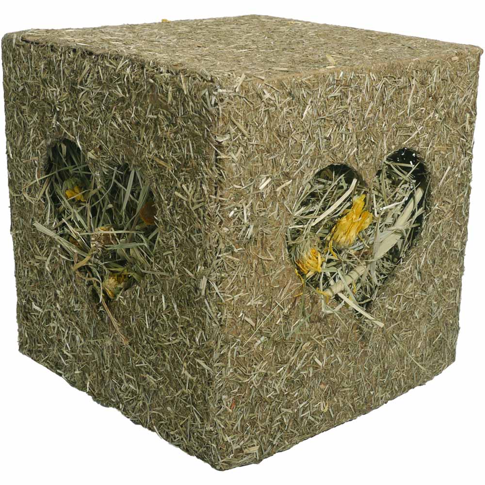 Rosewood Small Animal Treat I Love Hay Cube Image