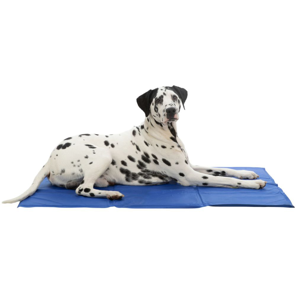 Dog cooling mat wilko sales