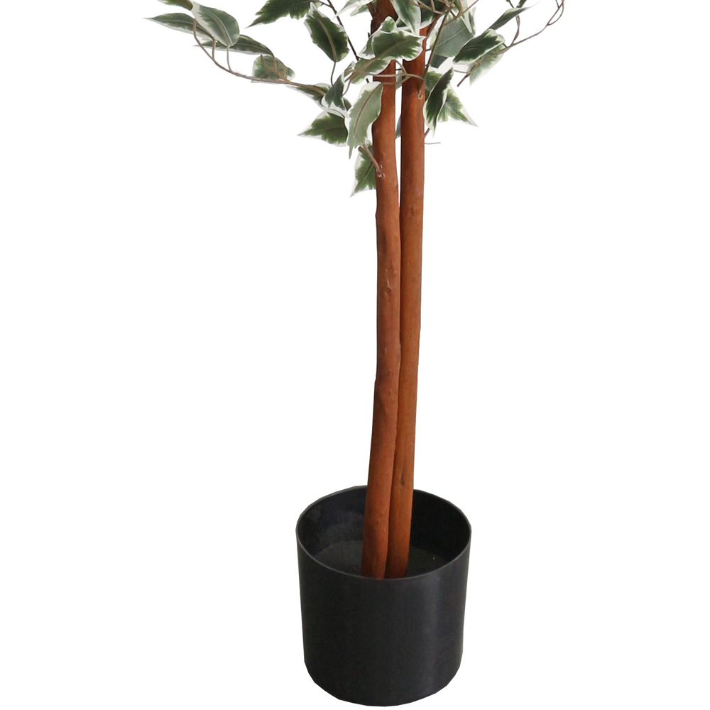 Leaf Ficus Natural Variegated Leaves Artificial Plant Pot 160cm Image 3