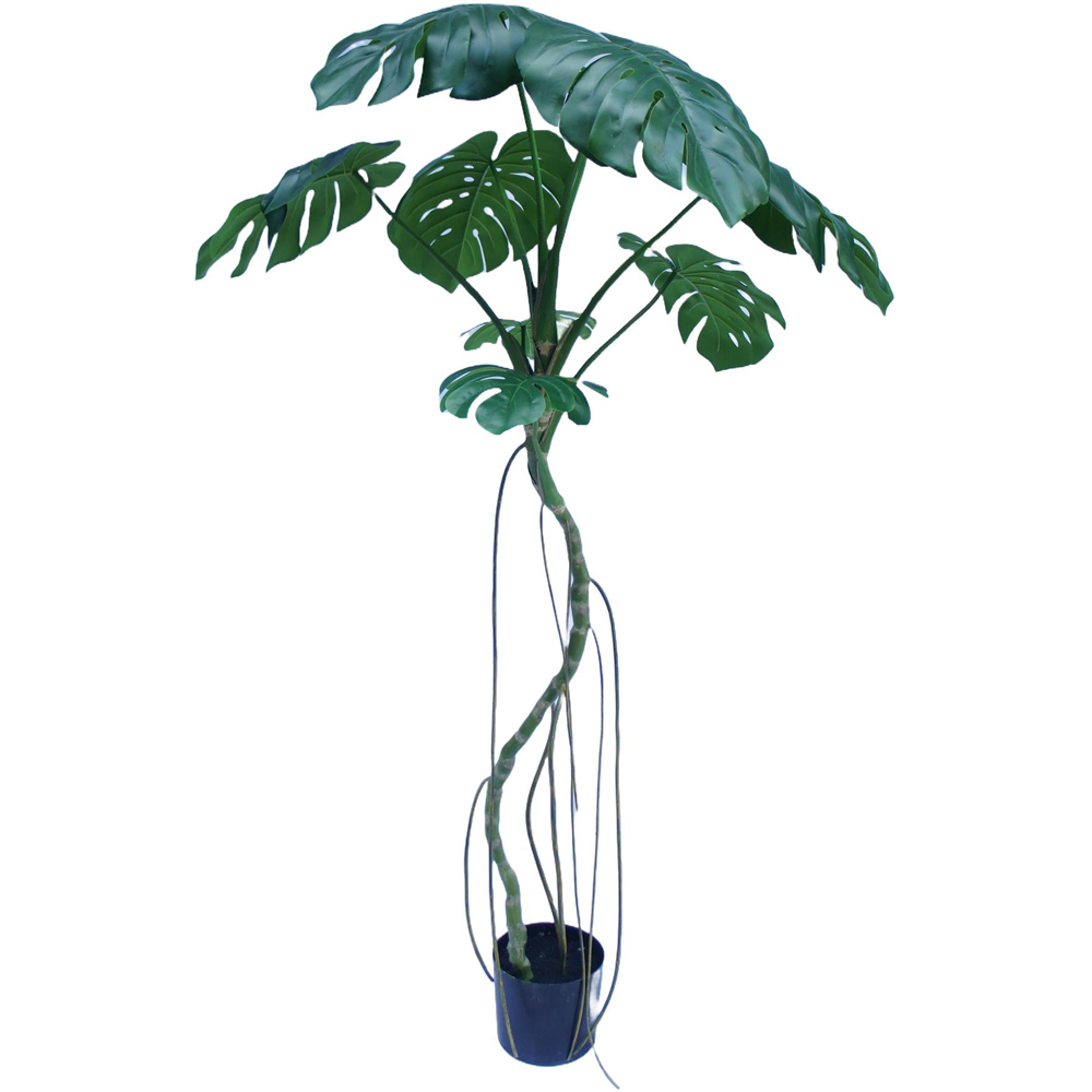 Botanik Green Monstera Artificial Tree in Pot 6ft Image 1