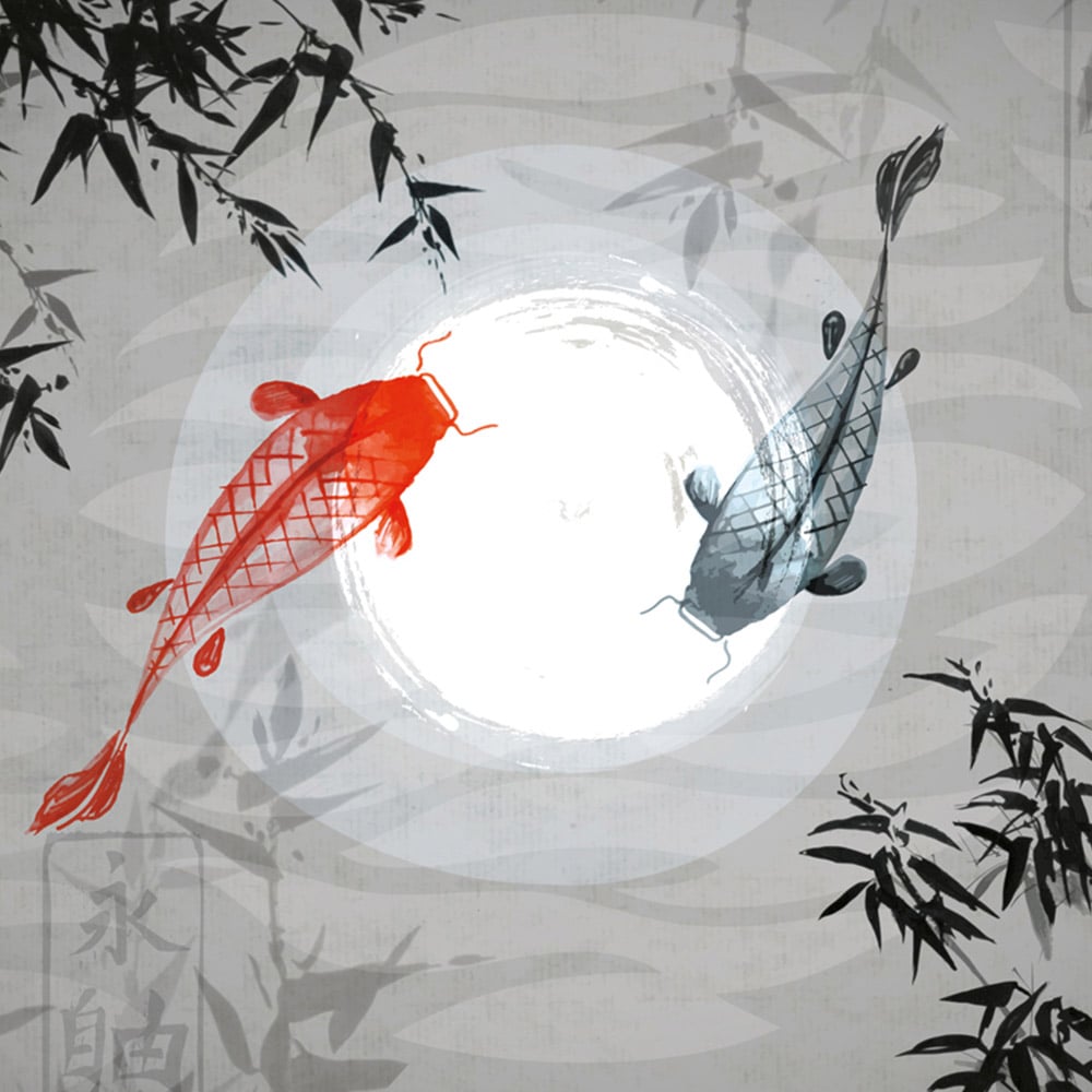 Origin Murals Watercolour Koi Grey Wall Mural Image 2