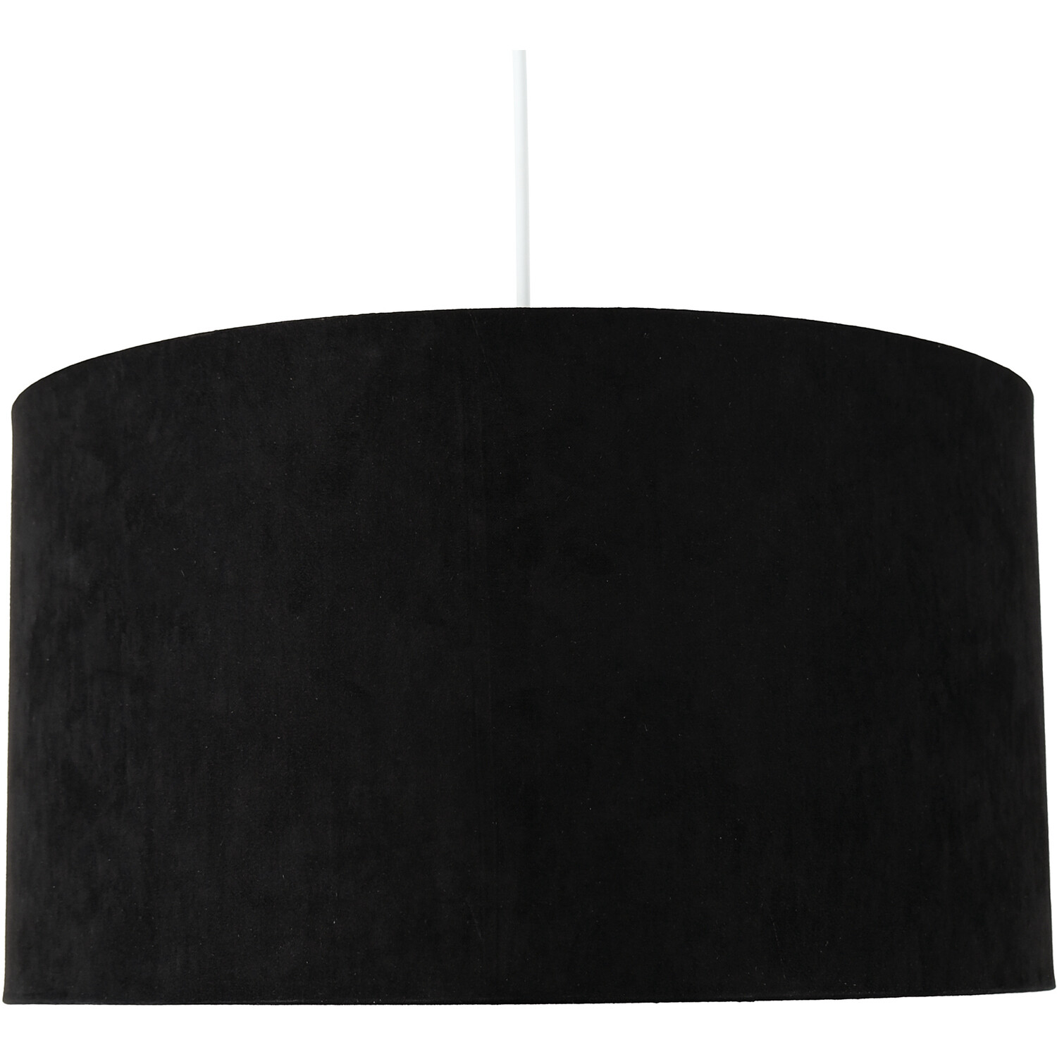 Black Zebra Shade - Black and White Image 1
