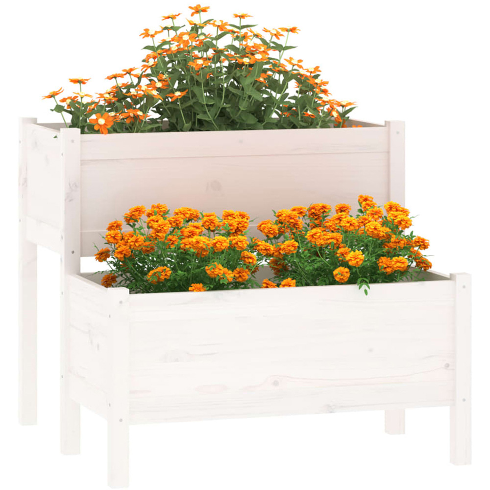 vidaXL 2-Tier White Solid Pine Wood Garden Planter 75 x 84 x 84.5cm Image 2