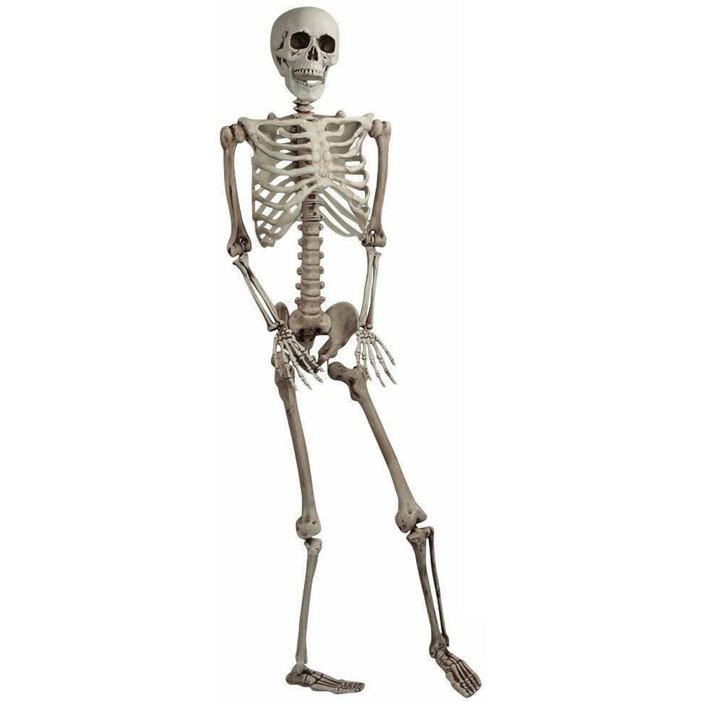 Shatchi Halloween Posable Skeleton Decoration 165cm Image 1