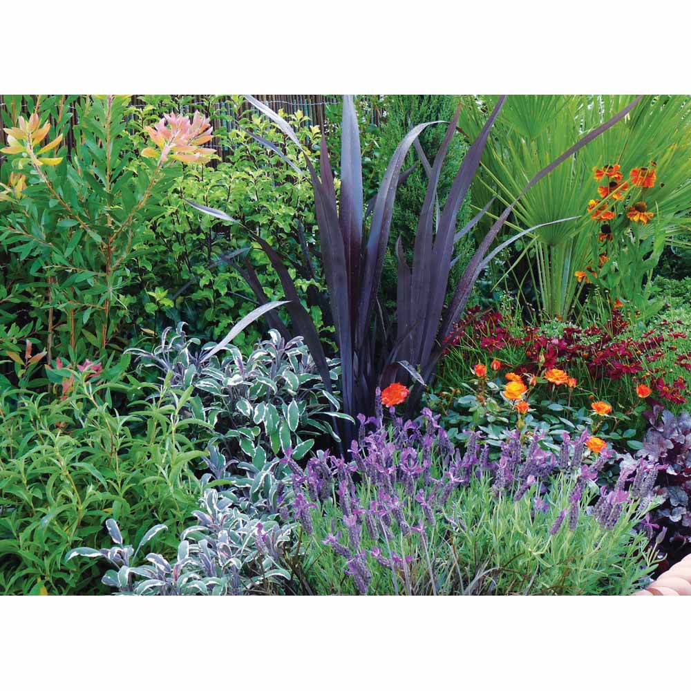 Garden On A Roll Mediterranean Border Pack 9m x 90cm Wilko