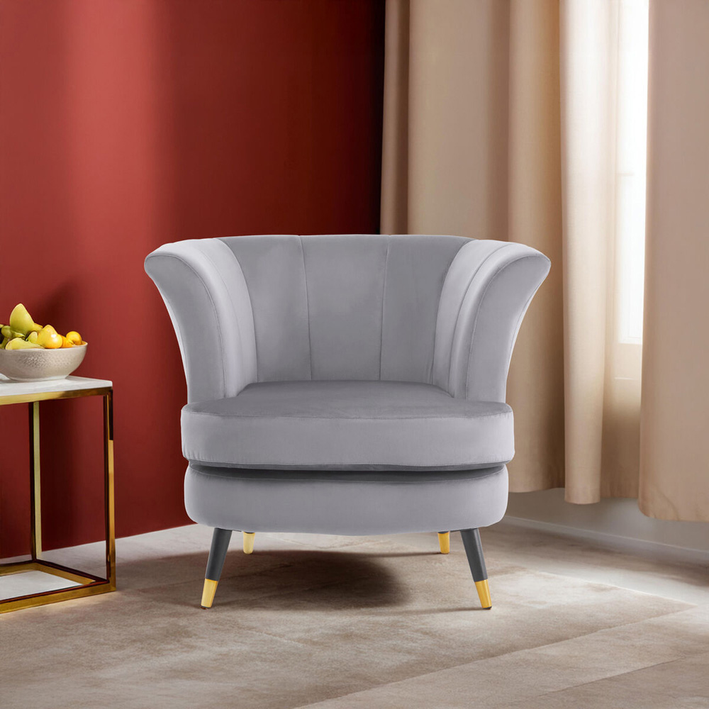 Premier Housewares Loretta Grey Velvet Curved Accent Chair Image 6