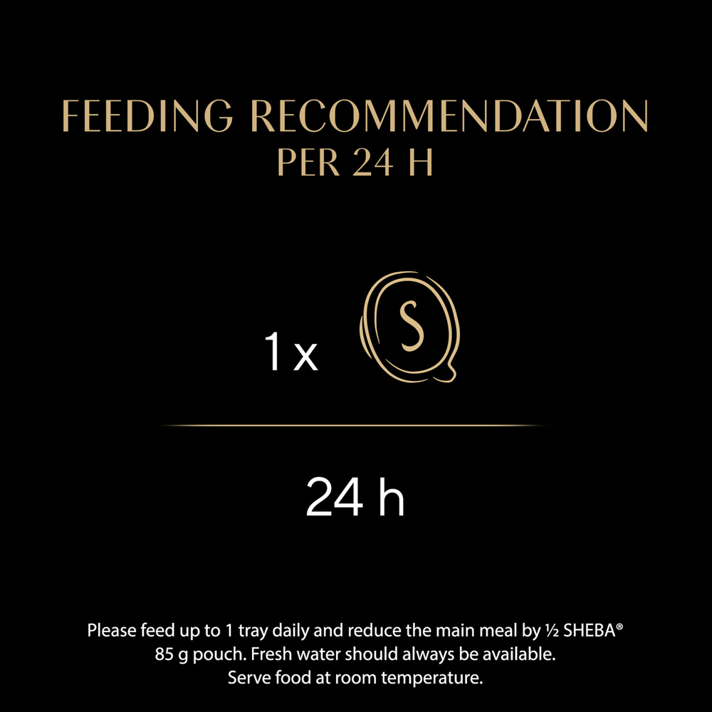 Sheba Fillets Cat Food Natural Shredded Chicken Image 6