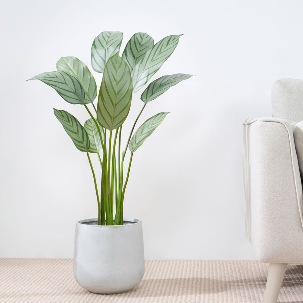 wilko Bird of Paradise Artificial Indoor Plant 110cm Image 2