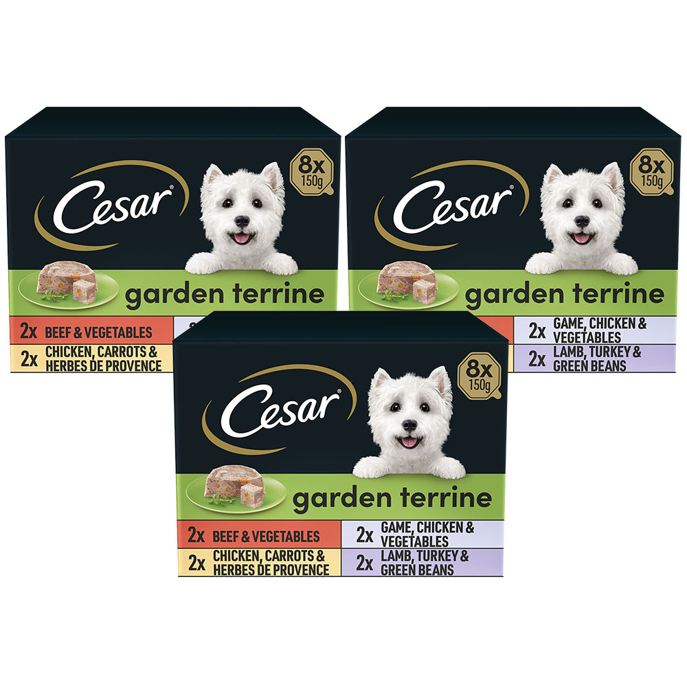 Cesar Garden Terrine Selection Dog Food Trays 150g Case of 3 x 8 Pack Image 1