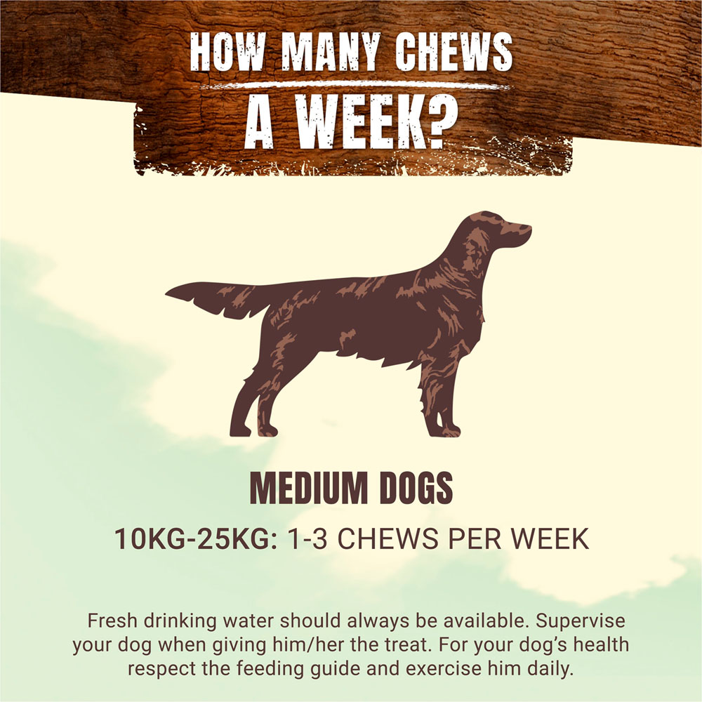 Purina Adventuros Medium Dog Wild Chew 2 x 200g Image 3