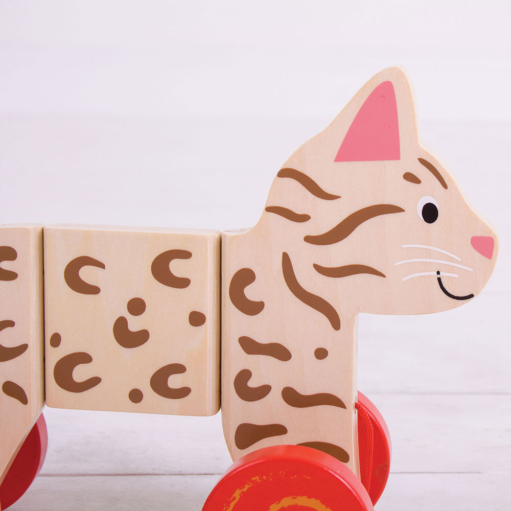 Bigjigs Toys Kids Wooden Pull Along Cat Image 4