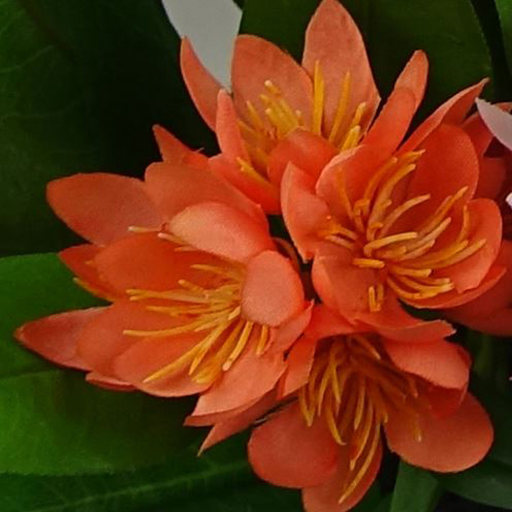 Leaf Orange Flower Freesia Artificial Plant 18cm Image 2