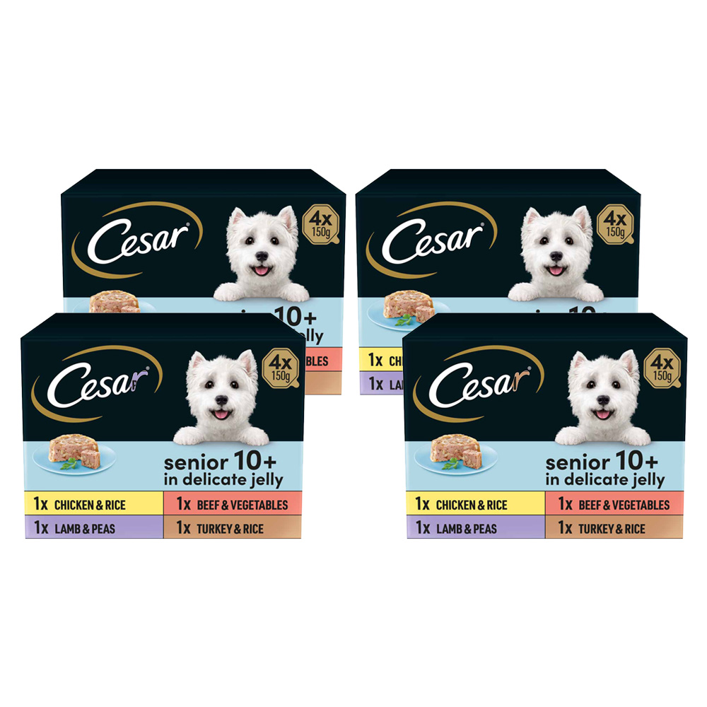 Cesar Meat in Delicate Jelly Senior Wet Dog Food Trays 150g Case of 4 x 4 Pack Image 1