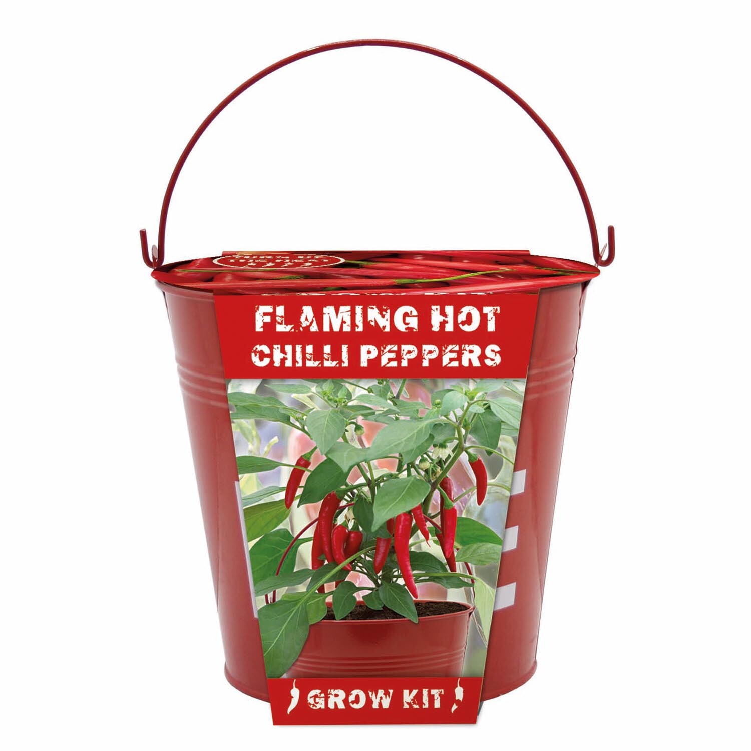 Chilli Fire Bucket Grow Set Image 1