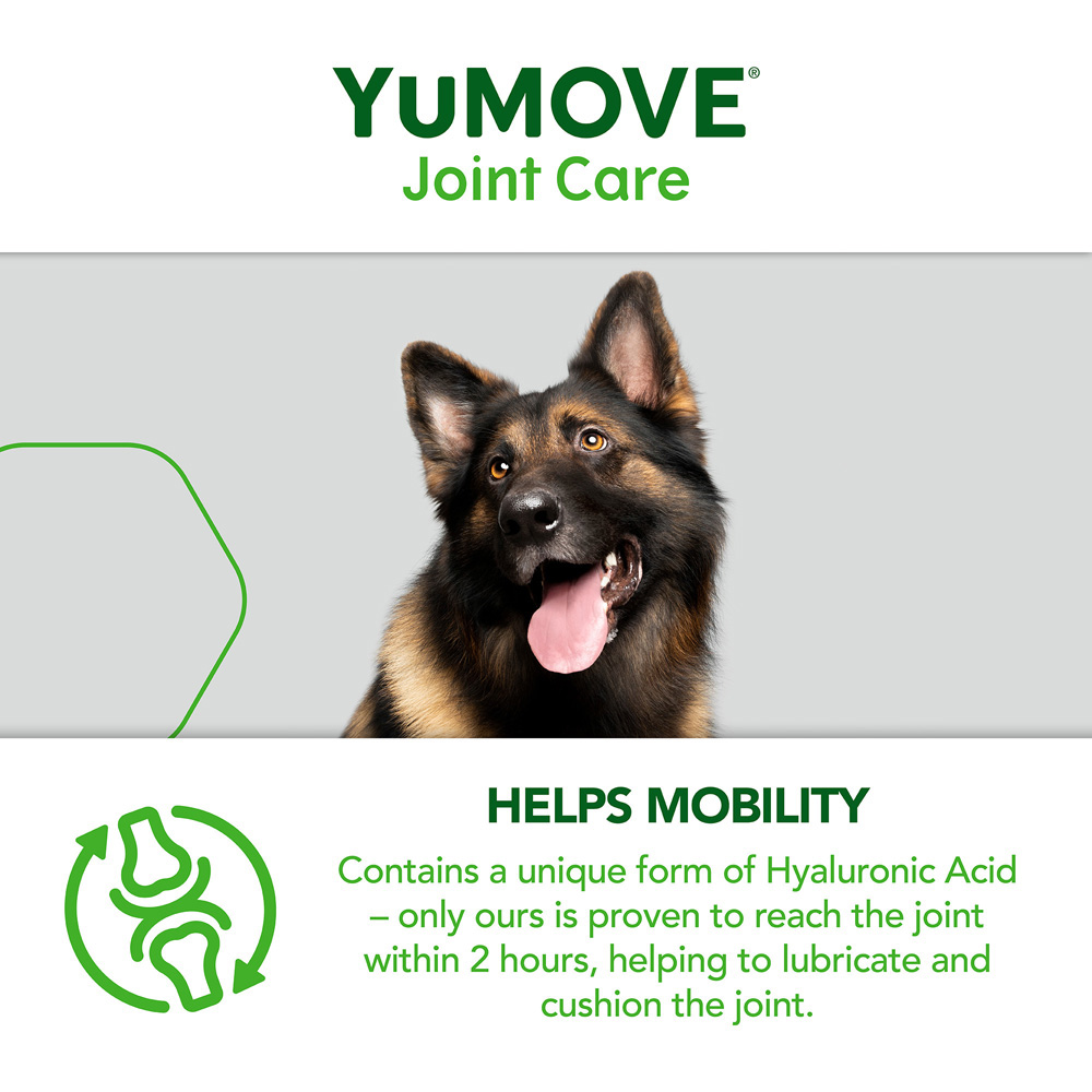 YuMOVE Joint Daily Bite Senior Dogs 60 pack Image 6
