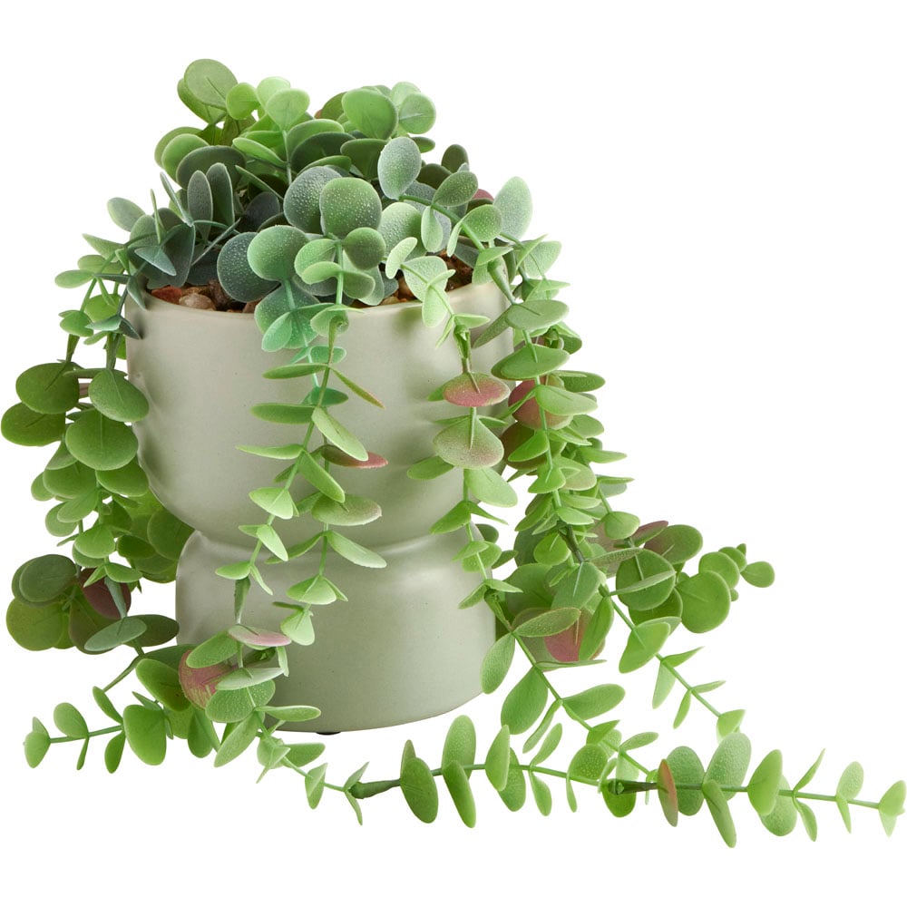 Wilko Faux Trailing Plant in Waisted Pot Image 1