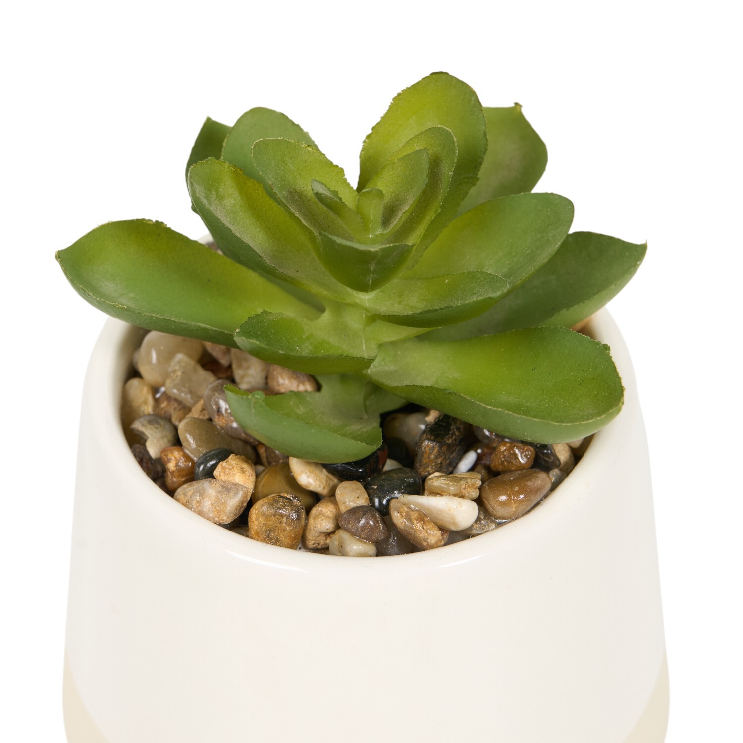 Mini Succulent Pot Image 8