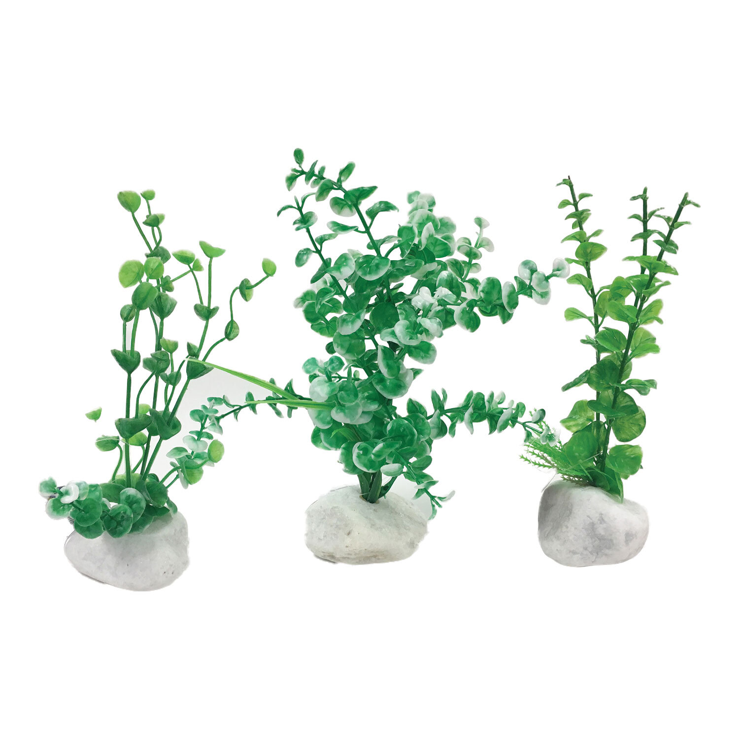 Rock Plant - Green / 22.2cm Image