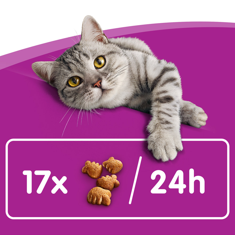 Whiskas Dentabites with Chicken Adult Cat Dental Treat Biscuits 50g Image 4
