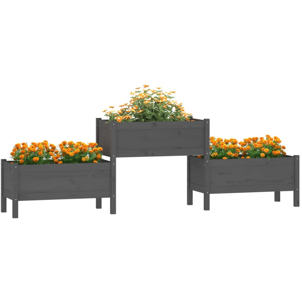 vidaXL 3 Box Grey Solid Pine Wood Raised Garden Planter 245.5 x 44 x 75cm Image 2