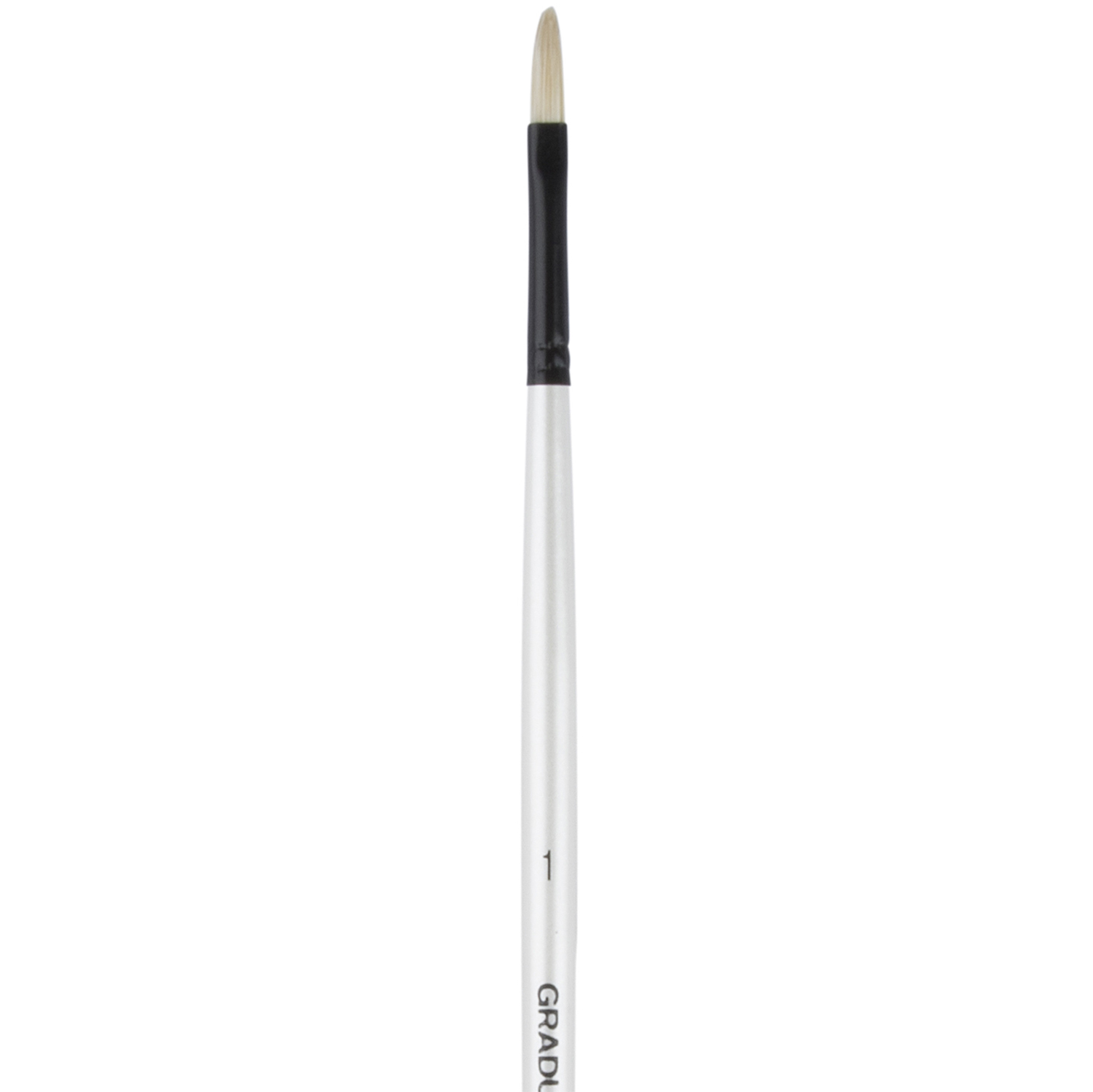 Daler Rowney Graduate Long Handle Bristle Filbert Brush No. 1 Image 1