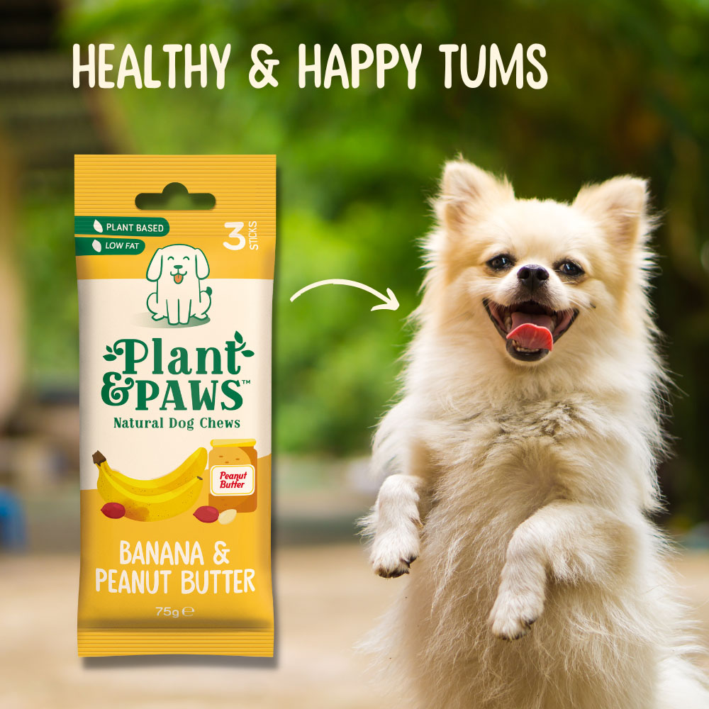 Plant & Paws Banana & Peanut Butter Natural Dog Chews 75g Image 2