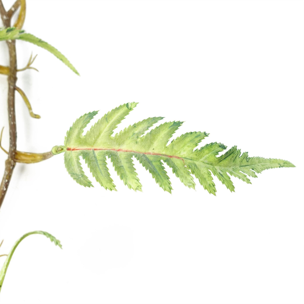 Leaf Trailing Fern Hanging Artificial Plant 4.1ft 6 Pack Image 4