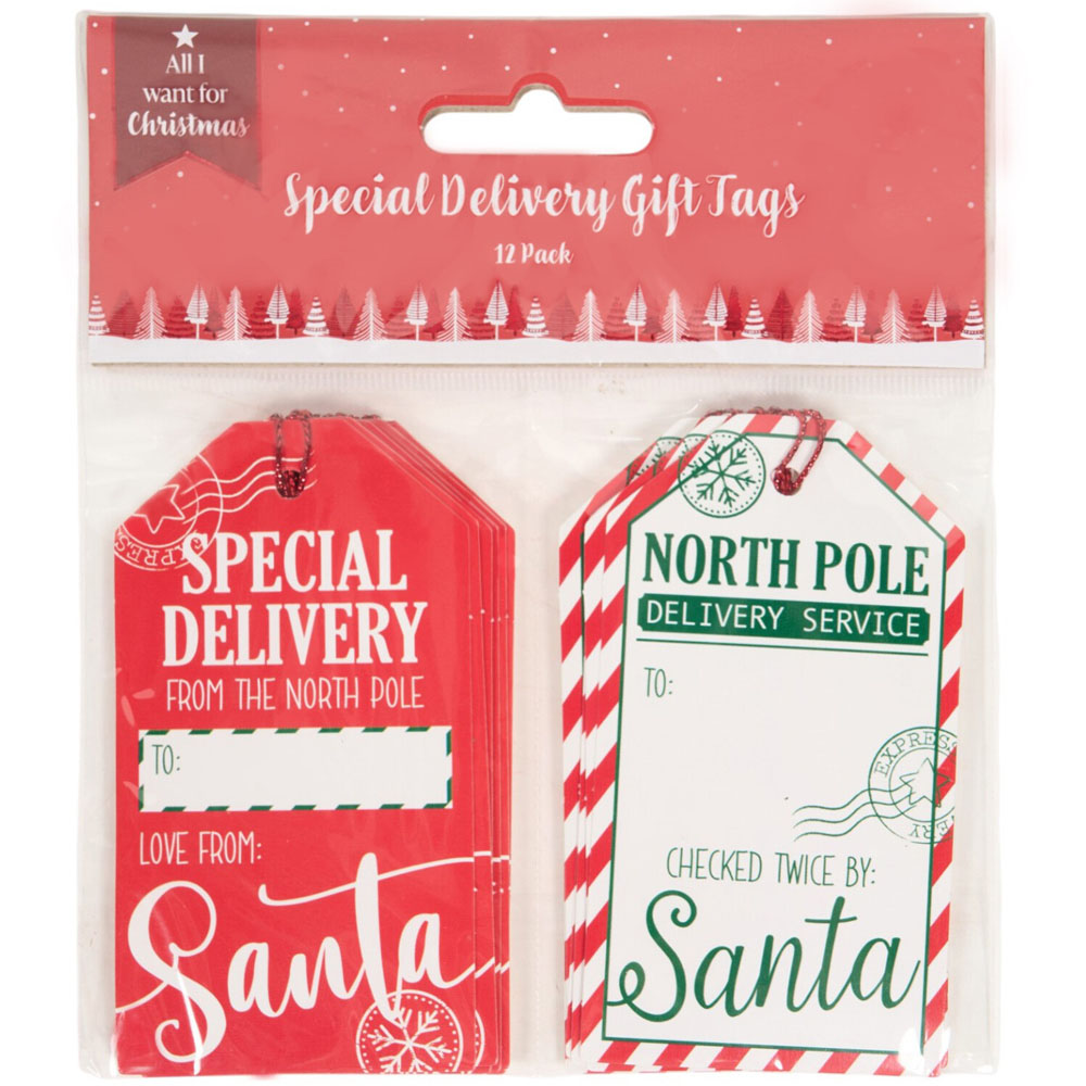 Pack of 12 Special Delivery Gift Tags Image 1