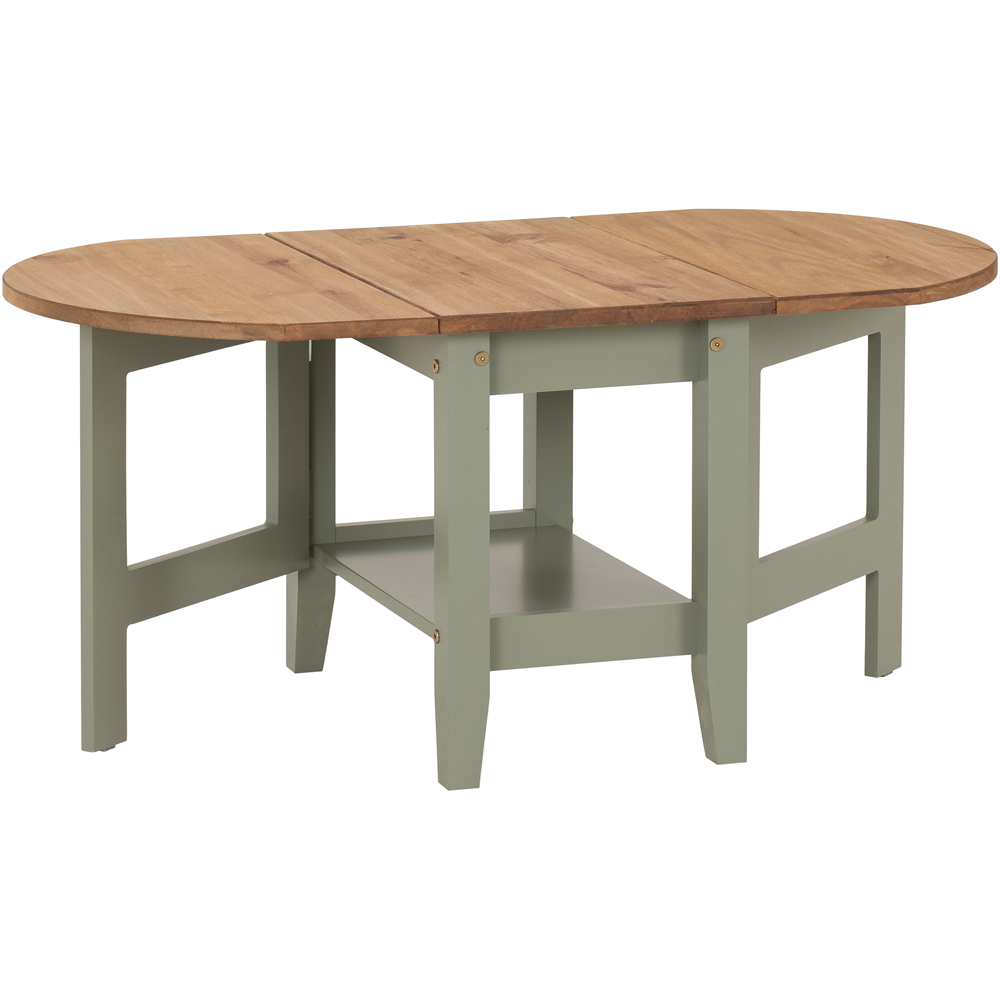 Seconique Santos Single Shelf Drop Leaf Green Distressed Waxed Pine Coffee Table Image 2