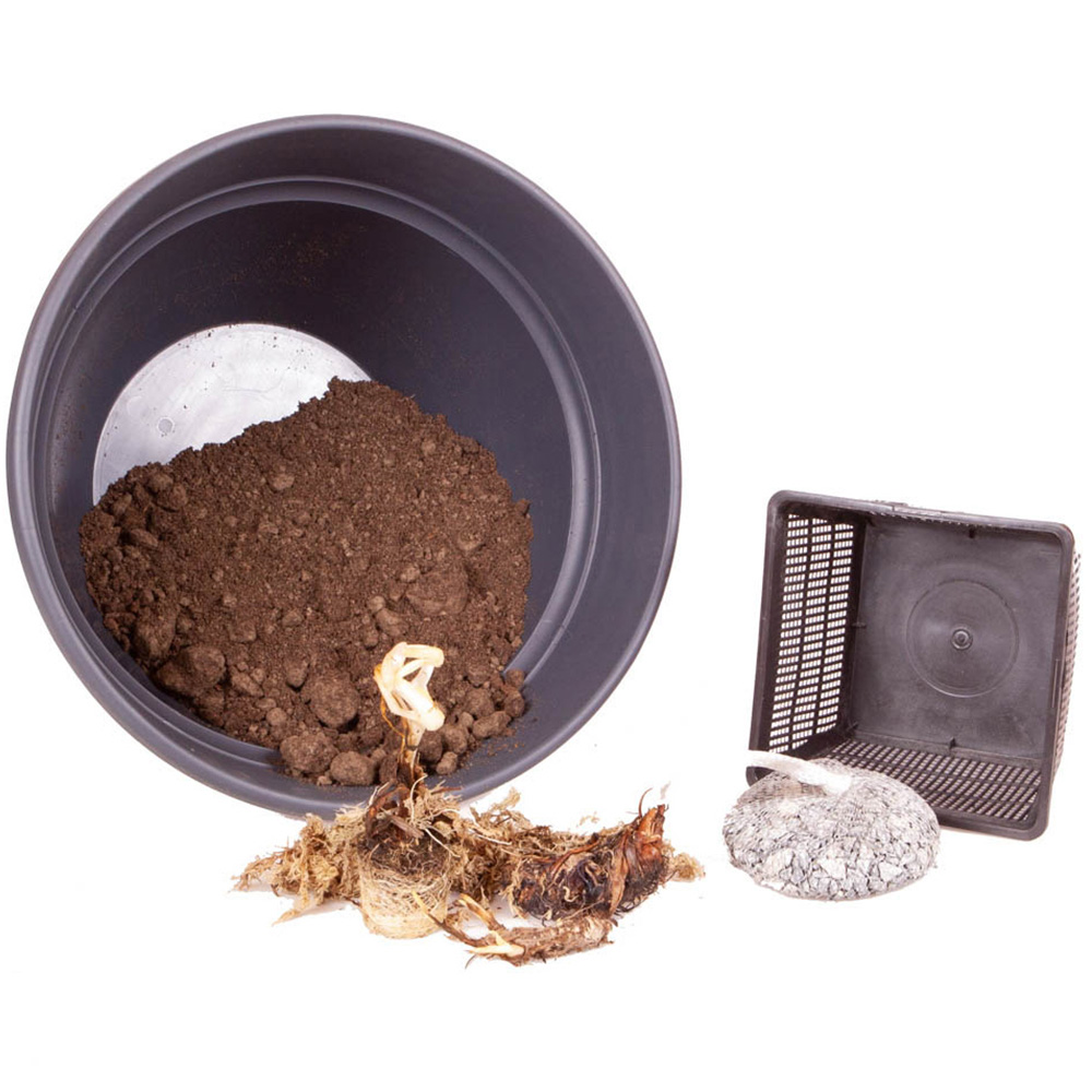 YouGarden Complete Patio Pond Kit Image 2