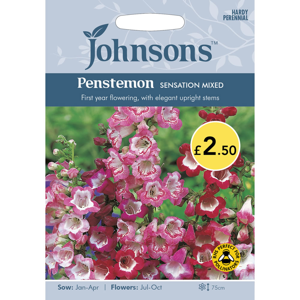Johnsons Penstemon Sensation Mix Seeds Image 2