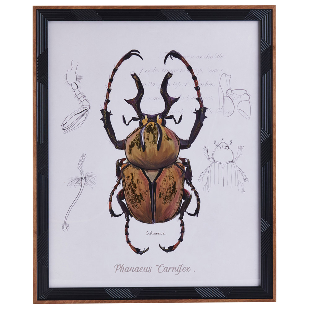 Wilko Beetle Print Drawn Stag Image 1