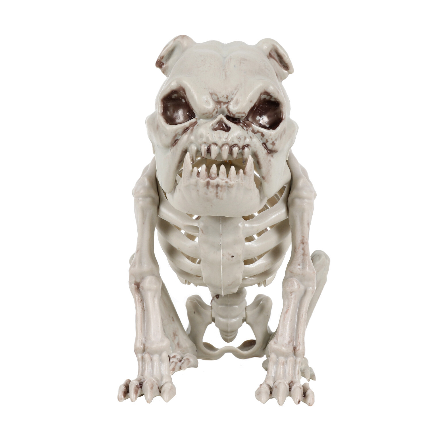 Skeleton Bulldog - White Image 1
