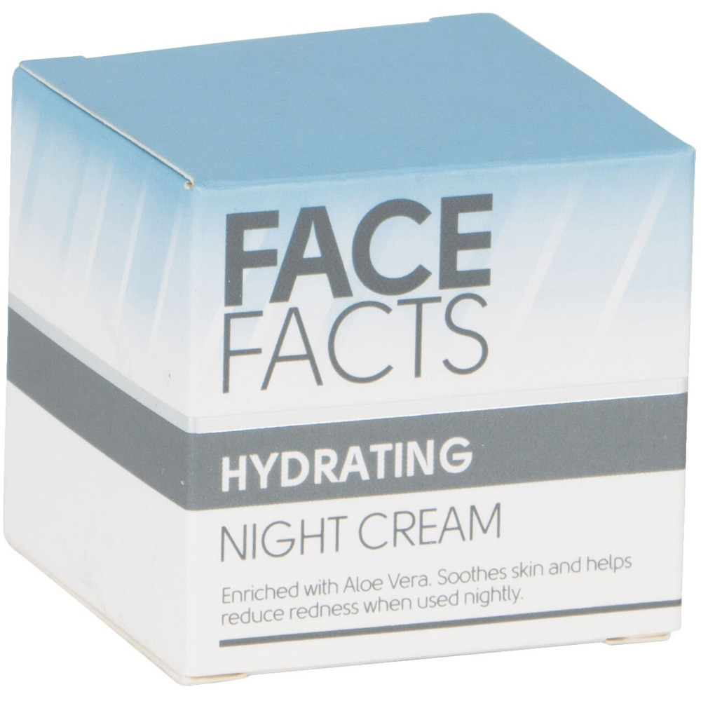 Face Facts Hydrating Night Cream Image