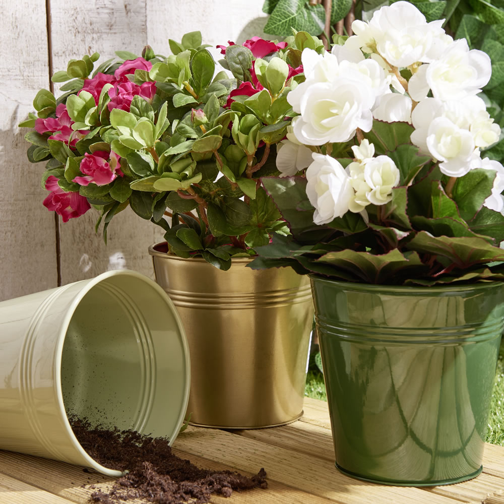 Wilko Medium Tin Pot Assorted Wilko