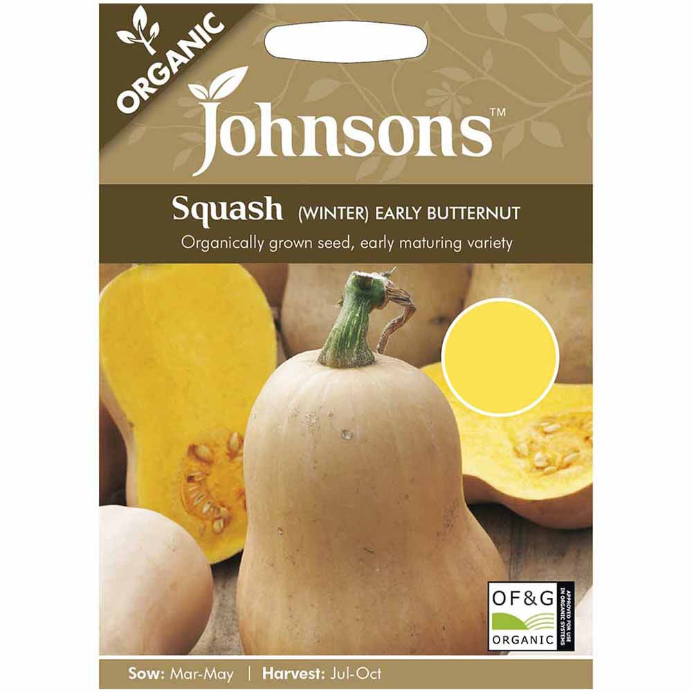Johnsons Organic Squash Early Bird Seeds Image 2