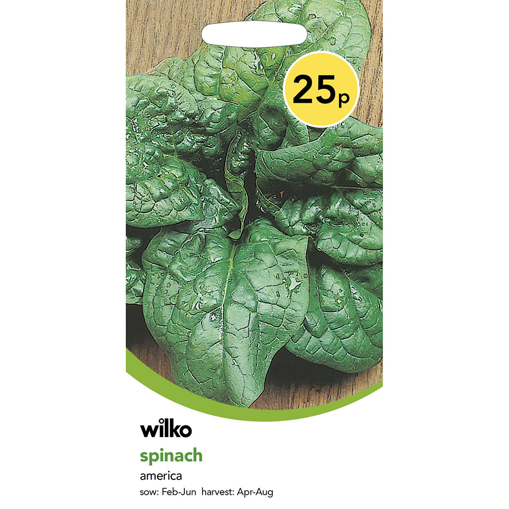 Wilko Spinach America Seeds Image 2