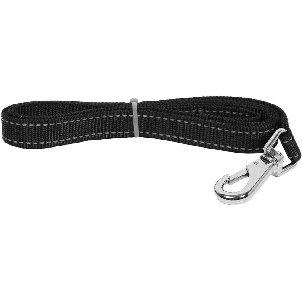 Reflective Nylon Dog Lead - Black / Large Image