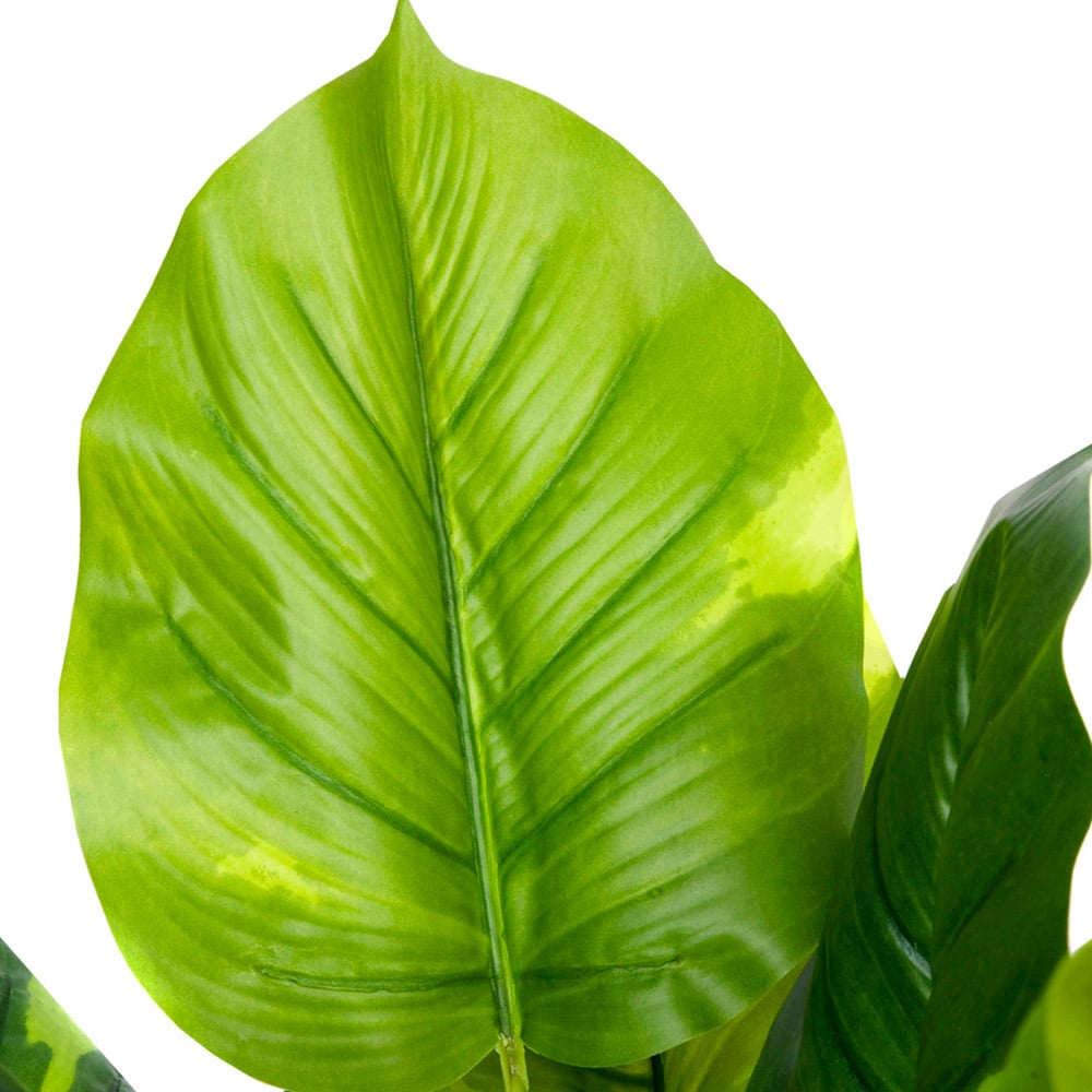 GreenBrokers Artificial Indoor Pothos Plant in Black Pot Image 3