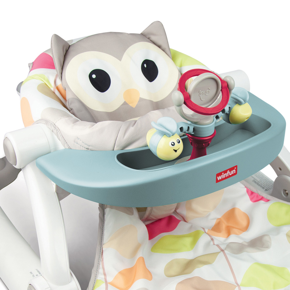Winfun Sit to Walk Owl Activity Centre Image 3