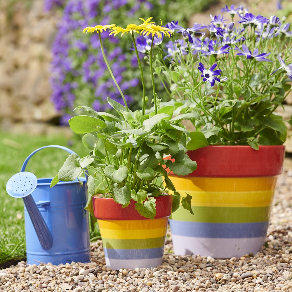 Single Metal Watering Can 1.7L in Assorted styles Image 8