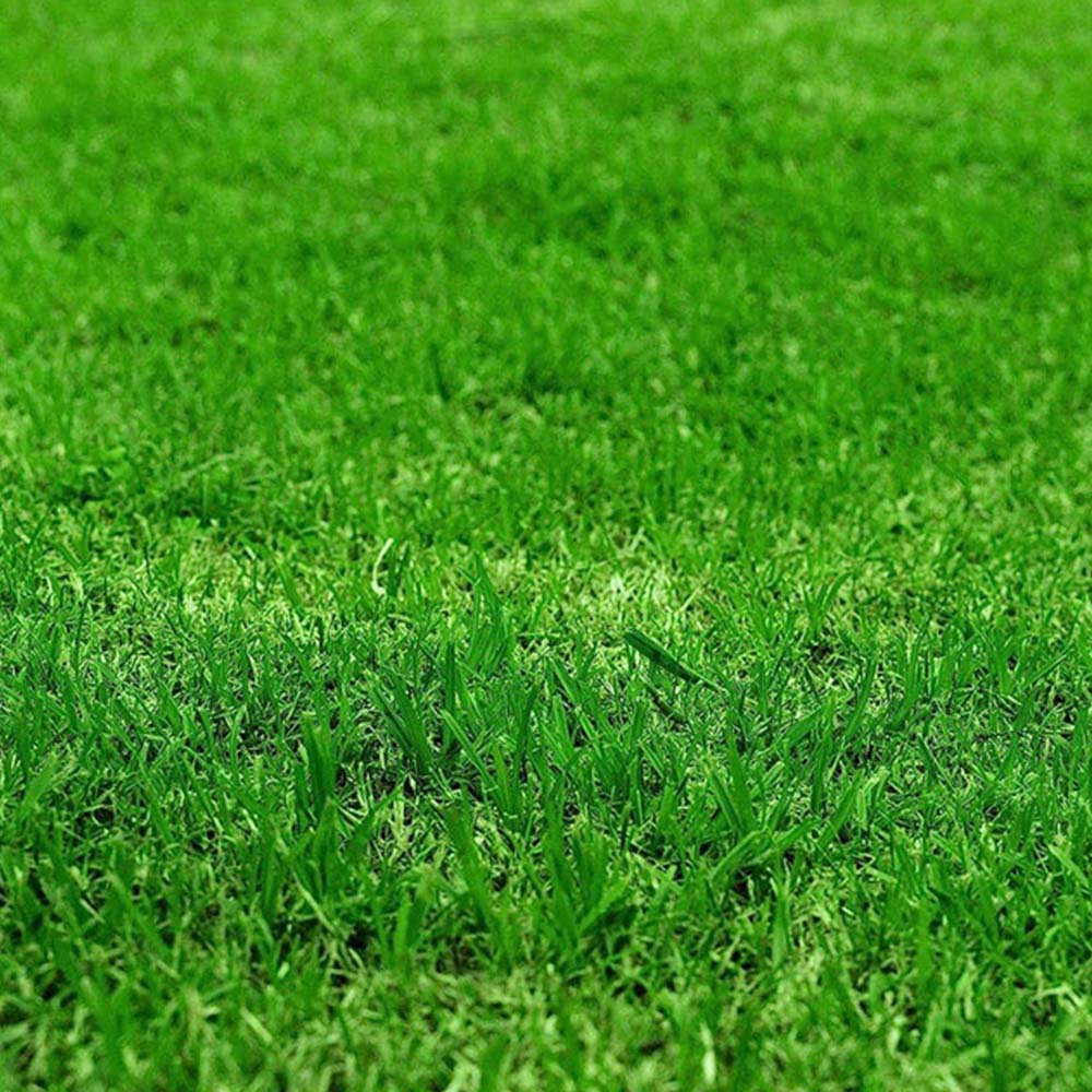 Ultimate Plus XP Grass Greening Superfood Granules 7.5kg Image 3
