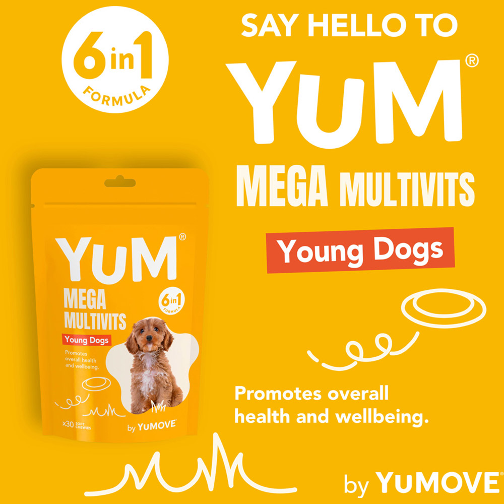 Yum Mega MultiVits 6 in 1 Supplement for Young Dogs 30 Pack Image 2