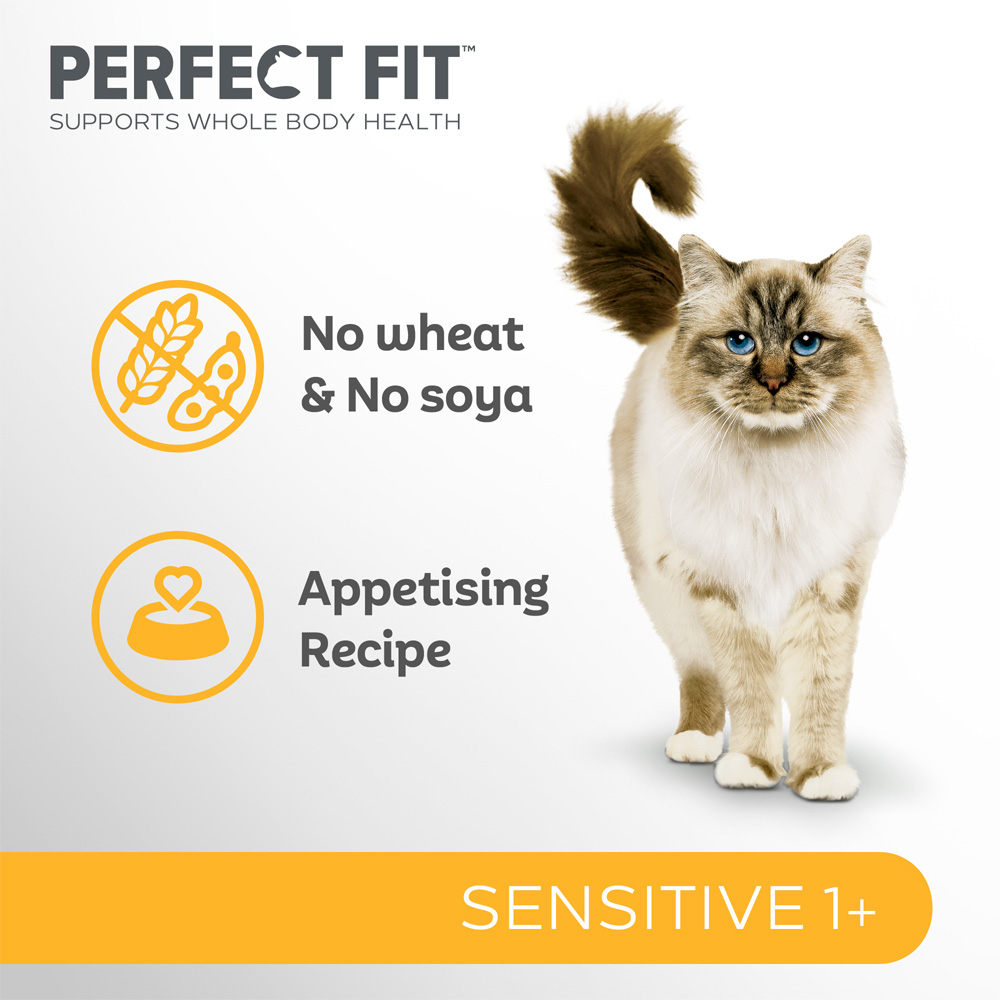 Perfect Fit Advanced Nutrition Turkey Sensitive Adult Dry Cat Food 750g Image 2