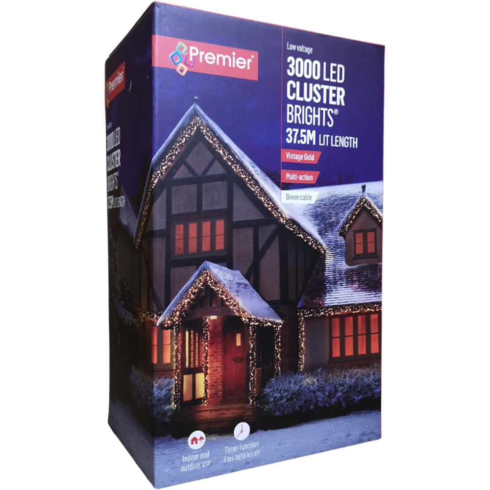 Premier ClusterBrights 3000 Vintage Gold LED Multi-Function Green Cluster Light 37.2m Image 9