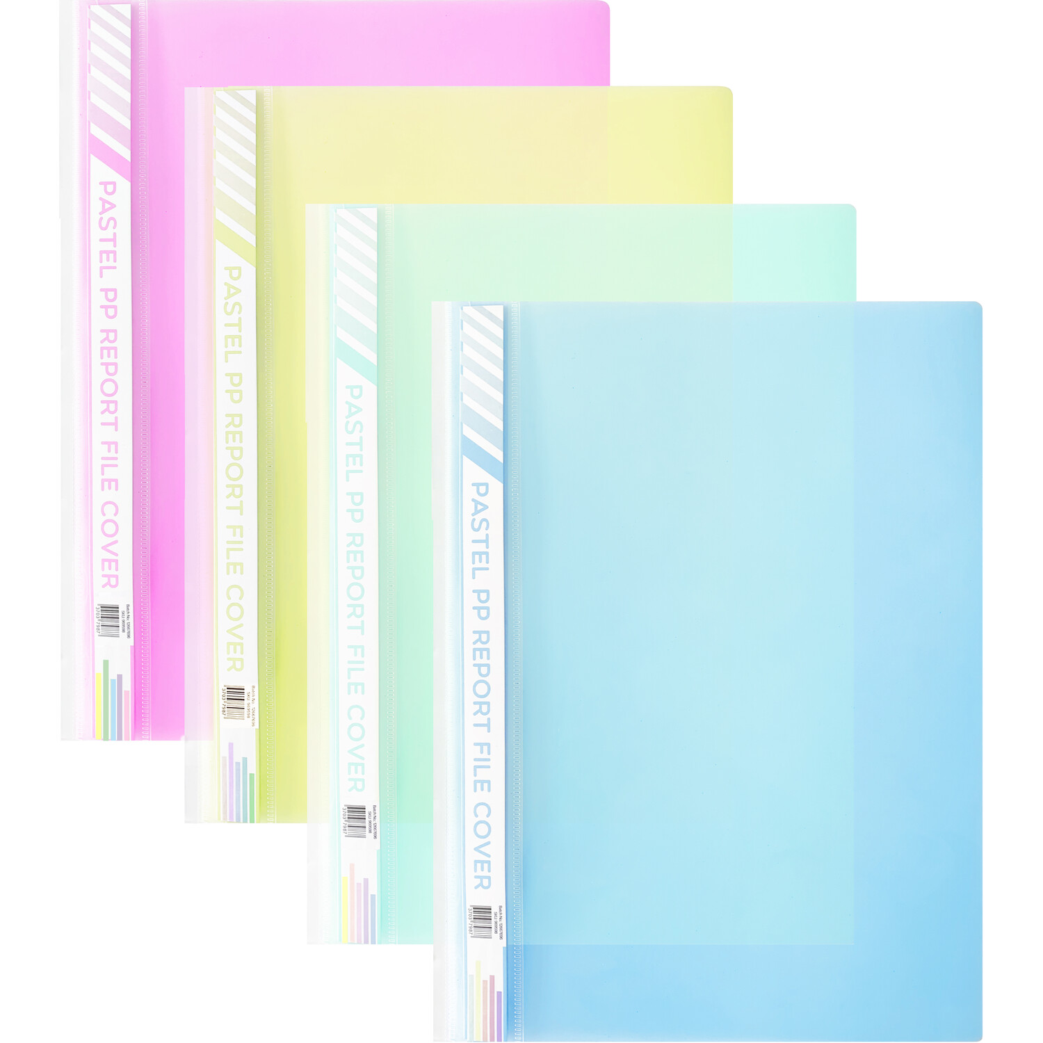Pastel Report File Cover Image 1
