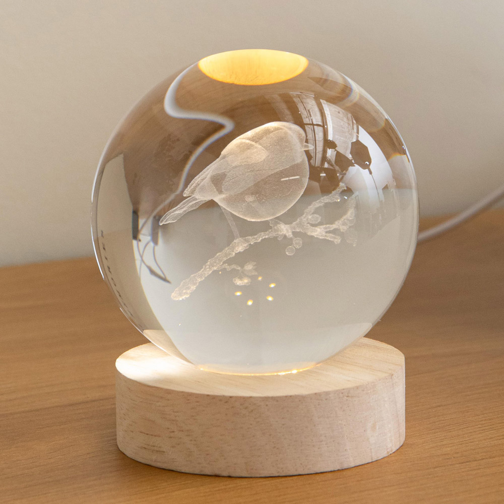 Samuel Alexander Warm White LED Etched 3D Robin Glass Globe USB Powered Christmas Decoration 10cm Image 2