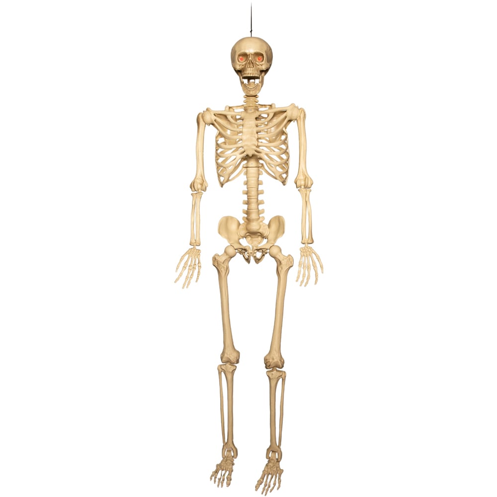 Samuel Alexander Halloween LED Skeleton Decoration with Movable Joints and LED Eyes 5ft 4 Pack Image 1